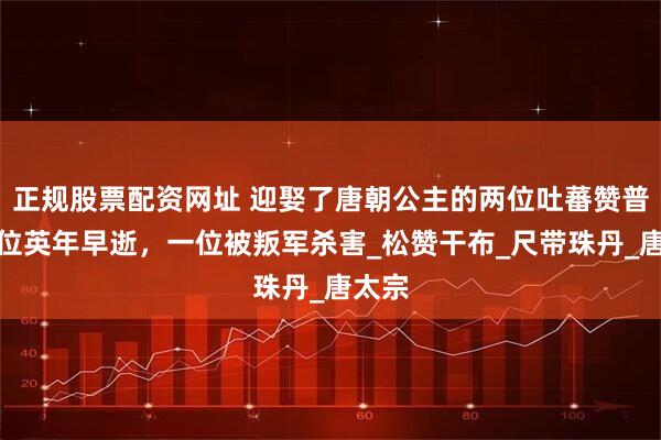 正规股票配资网址 迎娶了唐朝公主的两位吐蕃赞普：一位英年早逝，一位被叛军杀害_松赞干布_尺带珠丹_唐太宗